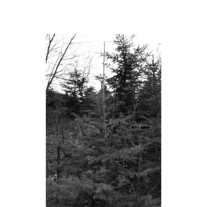 JEREMY CORREN | Country of Clouds